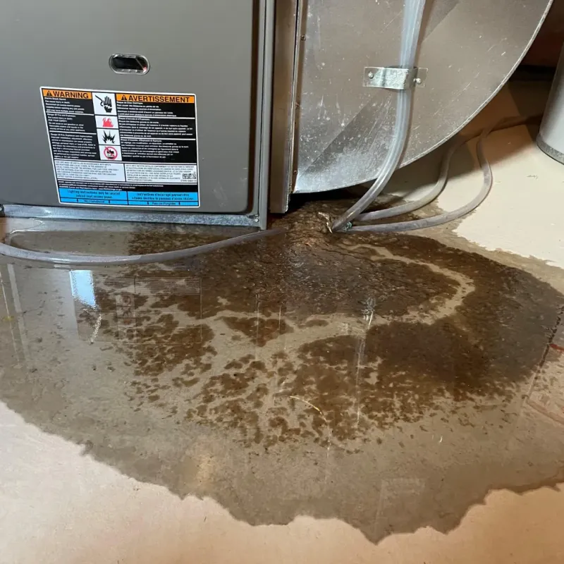 Appliance Leak Cleanup in Whitesboro, AL